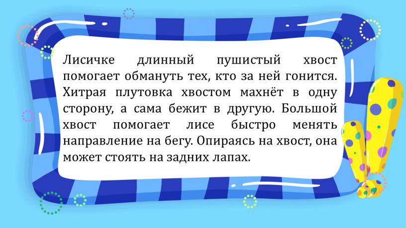 Лисичке длинный пушистый хвост помогает обмануть тех, кто за ней гонится