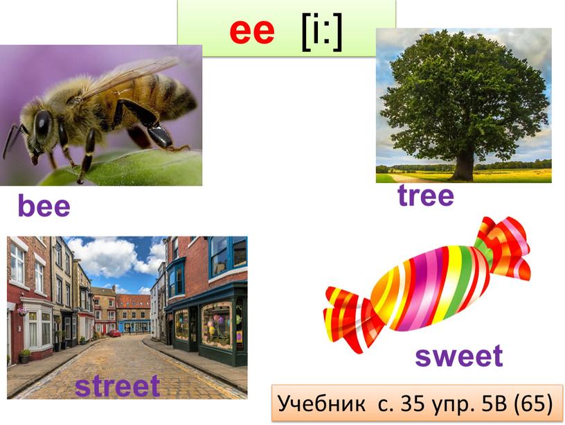 ee [i:] tree street sweet bee Учебник с. 35 упр. 5B (65)