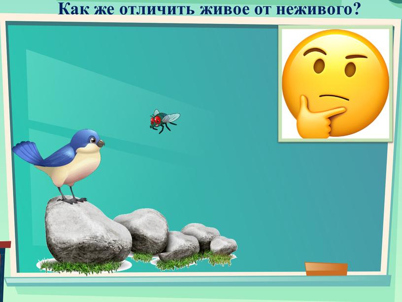 Как же отличить живое от неживого?