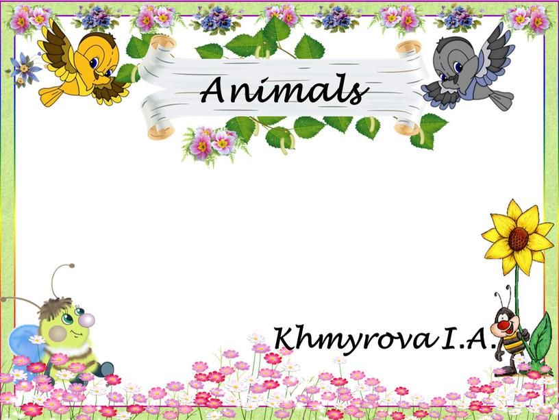 Animals