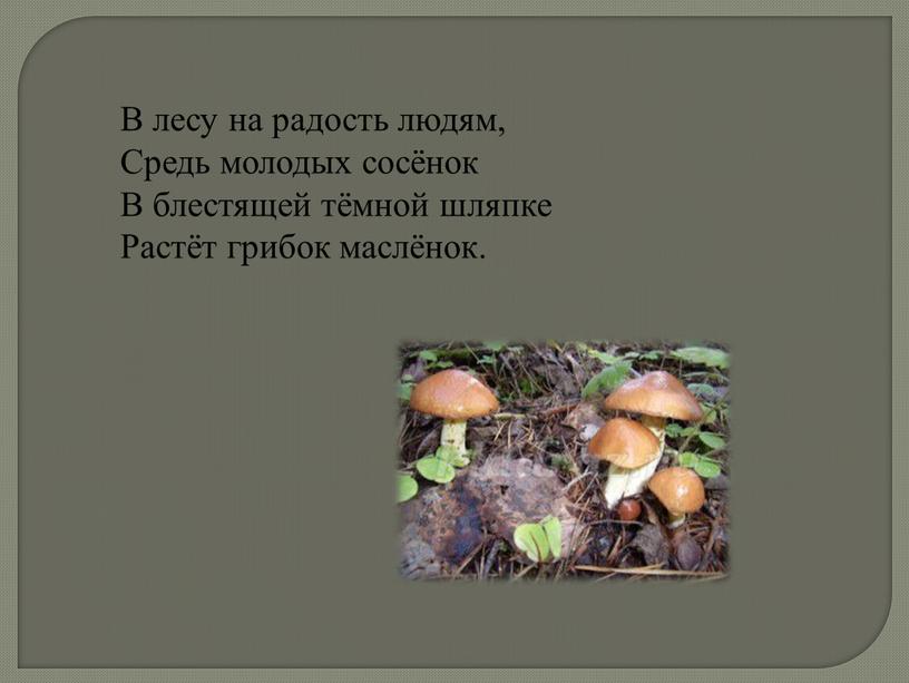 В лесу на радость людям, Средь молодых сосёнок