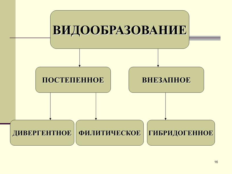 ВИДООБРАЗОВАНИЕ ПОСТЕПЕННОЕ ВНЕЗАПНОЕ