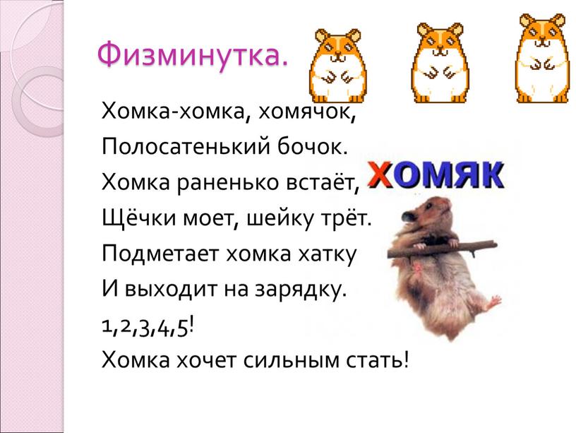 Физминутка. Хомка-хомка, хомячок,