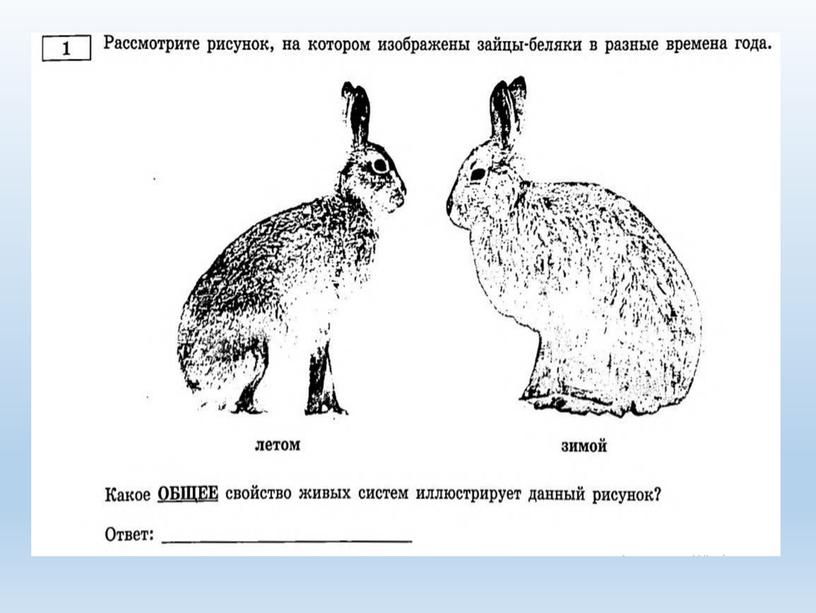 Разбор заданий №1 ОГЭ биология из сборника В.С.Рохлова