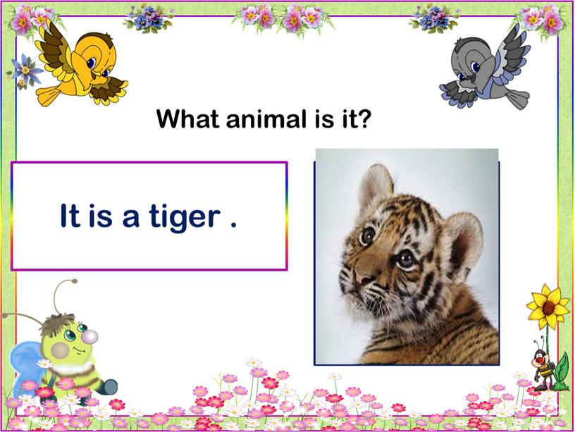 What animal is it? It is a tiger