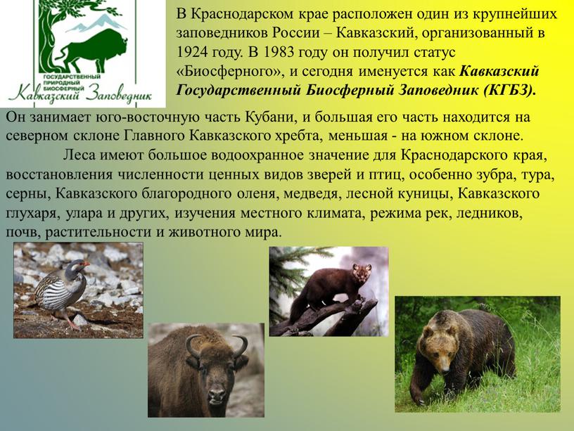 В Краснодарском крае расположен один из крупнейших заповедников