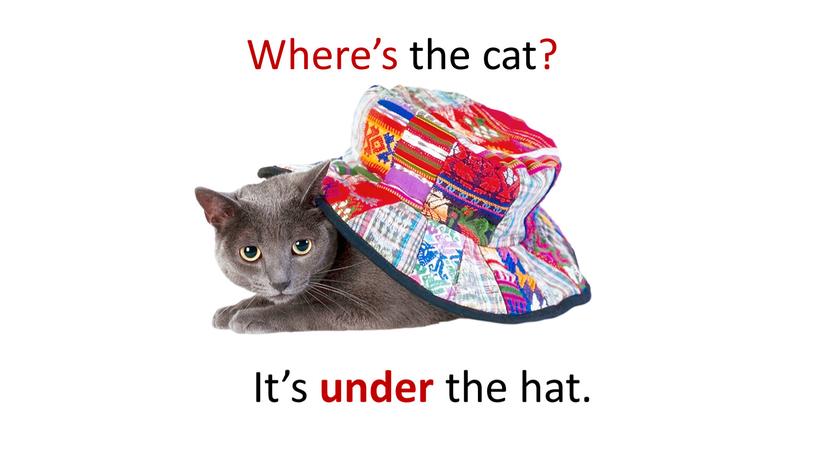 Where’s the cat? It’s under the hat