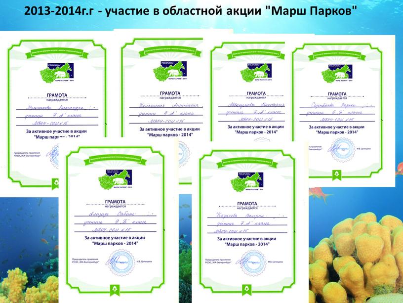 2013-2014г.г - участие в областной акции "Марш Парков"