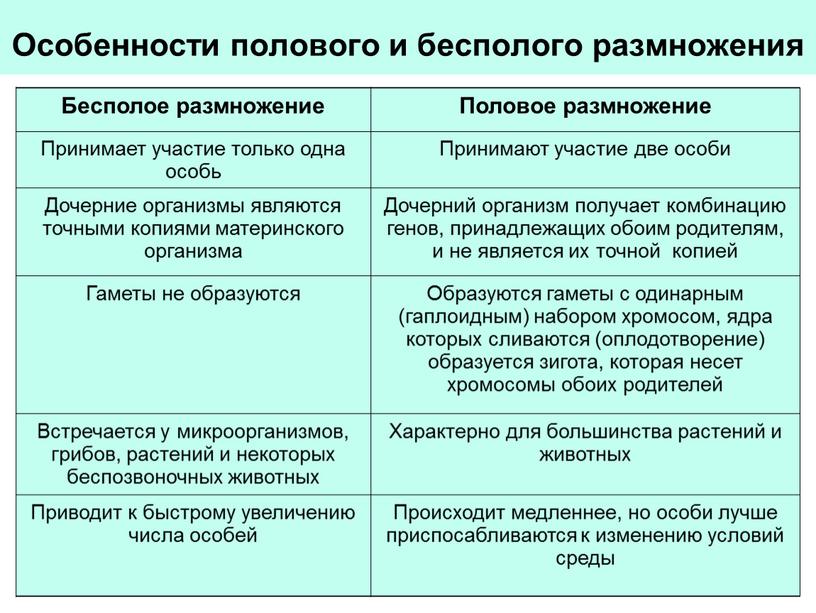 Особенности полового и бесполого размножения