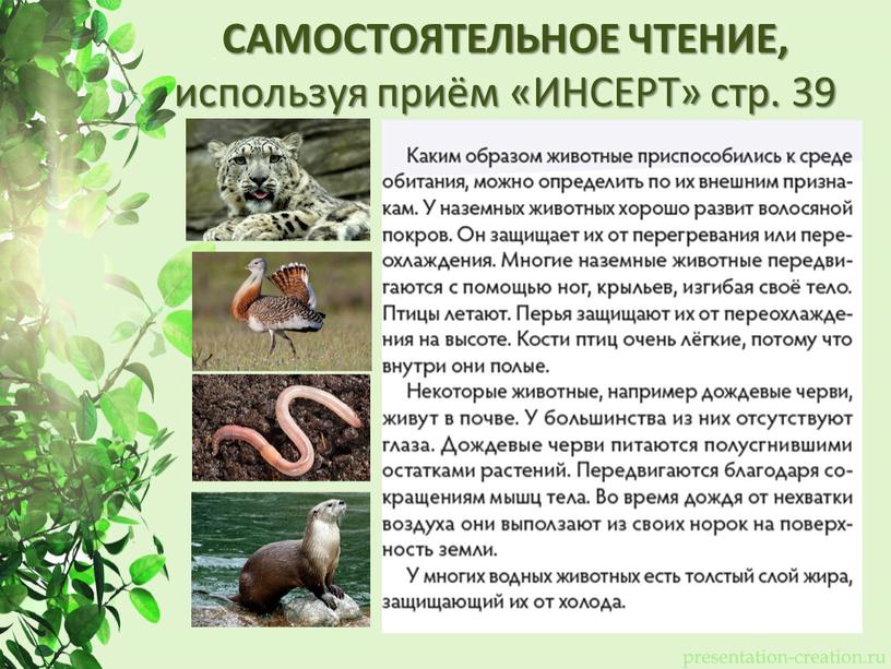 САМОСТОЯТЕЛЬНОЕ ЧТЕНИЕ, используя приём «ИНСЕРТ» стр