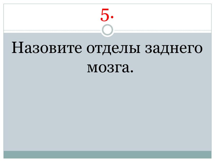 5. Назовите отделы заднего мозга.