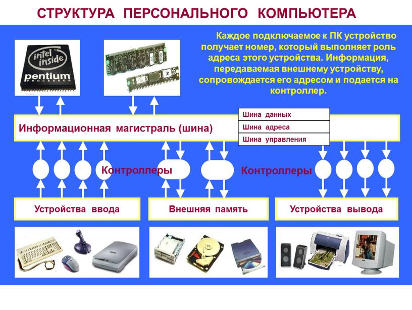 СТРУКТУРА ПЕРСОНАЛЬНОГО КОМПЬЮТЕРА