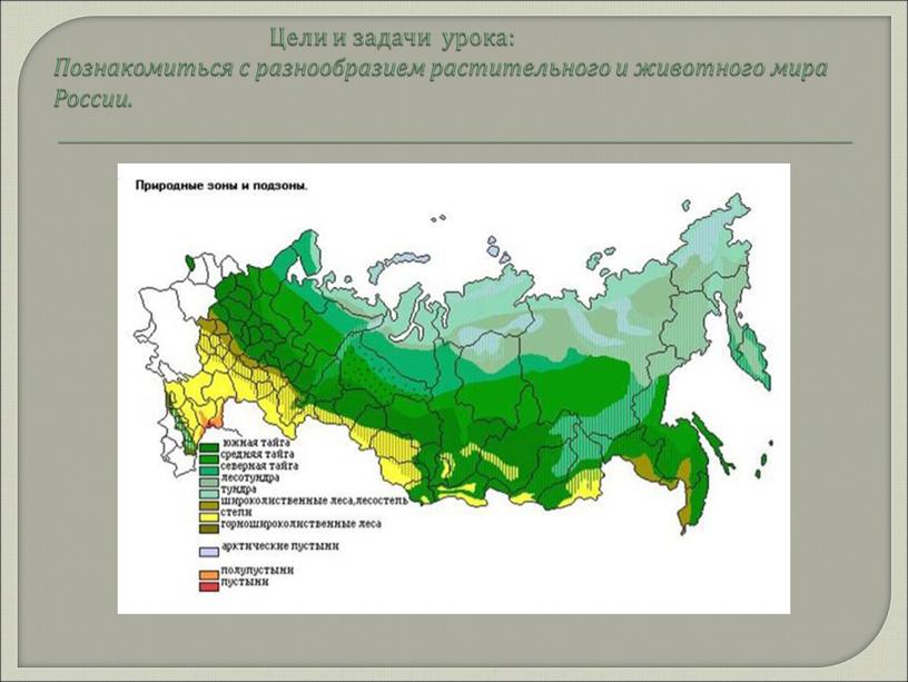 Цели и задачи урока: Познакомиться с разнообразием растительного и животного мира