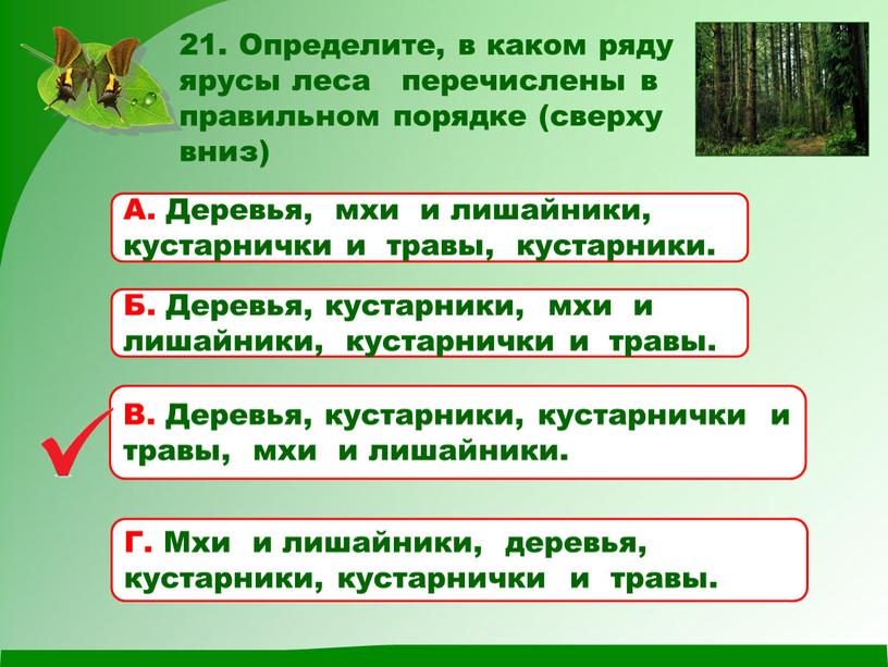 Определите, в каком ряду ярусы леса перечислены в правильном порядке (сверху вниз)