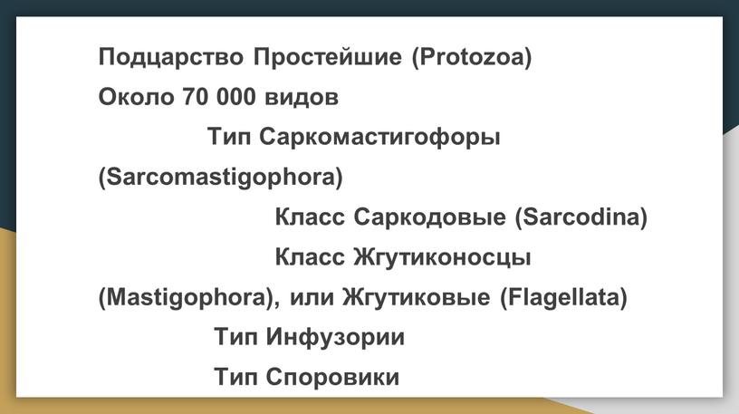 Подцарство Простейшие (Protozoa)