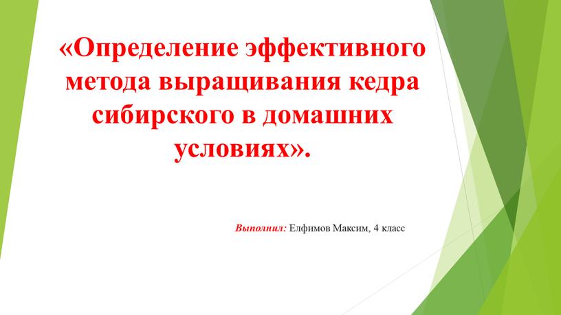 Определение эффективного метода выращивания кедра сибирского в домашних условиях»