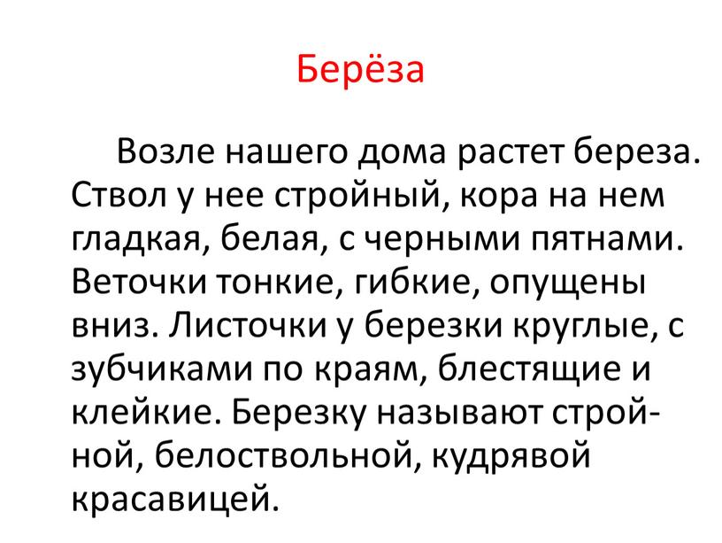 Берёза Возле нашего дома растет береза