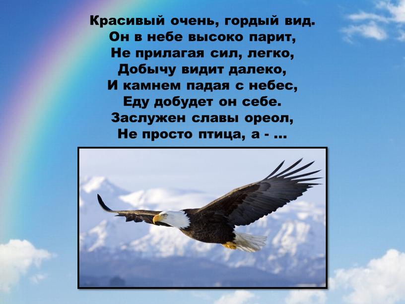 Красивый очень, гордый вид. Он в небе высоко парит,