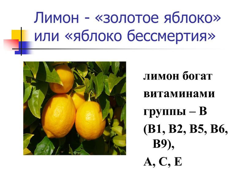 Лимон - «золотое яблоко» или «яблоко бессмертия» лимон богат витаминами группы –