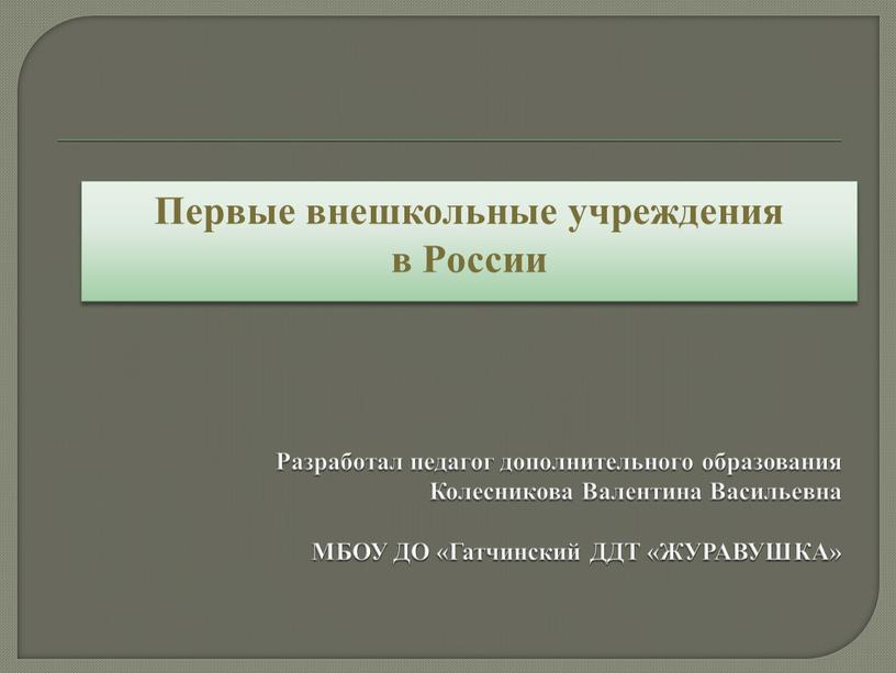 Разработал педагог дополнительного образования