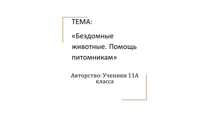 ТЕМА: «Бездомные животные. Помощь питомникам»