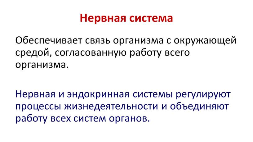 Нервная система Обеспечивает связь организма с окружающей средой, согласованную работу всего организма