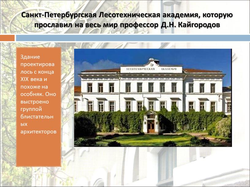 Санкт-Петербургская Лесотехническая академия, которую прославил на весь мир профессор