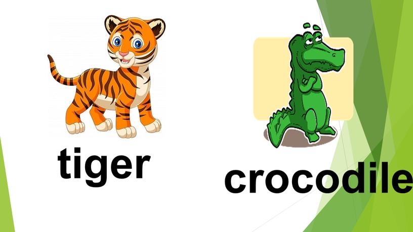 tiger crocodile