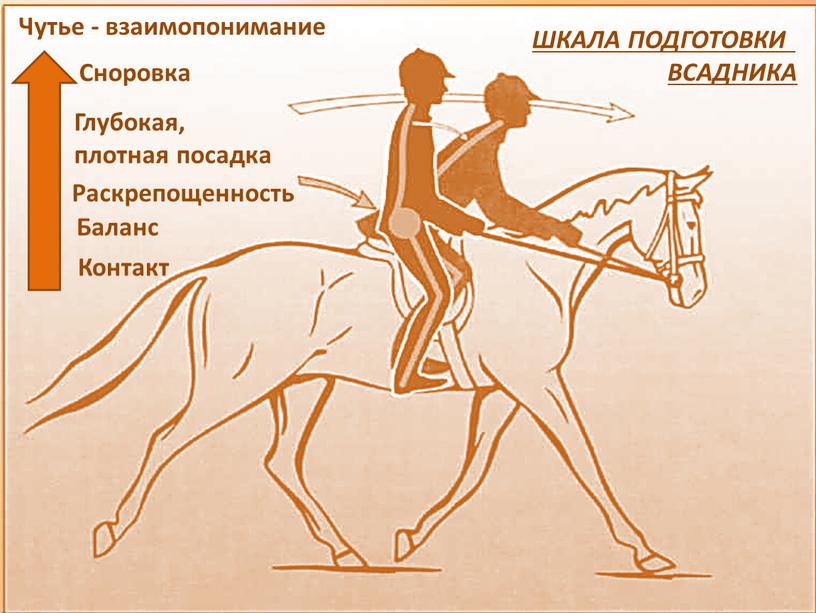 Контакт Баланс Раскрепощенность