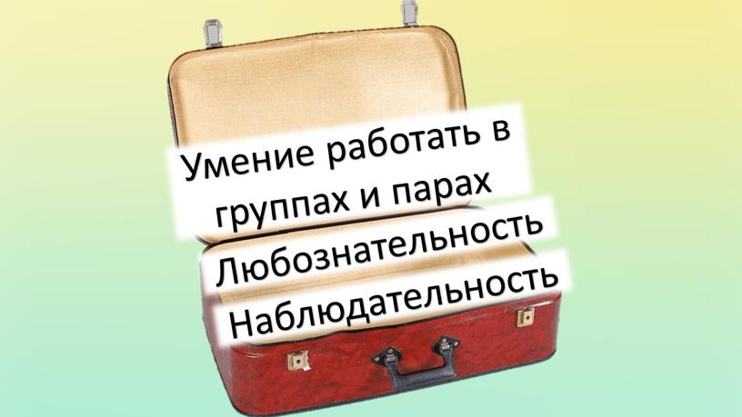 Наблюдательность Любознательность