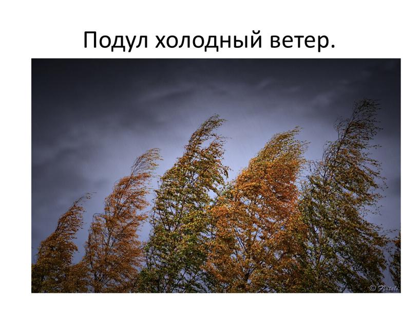 Подул холодный ветер.