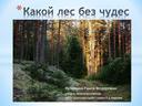 Презентация к уроку родного русского языка "Какой лес без чудес"