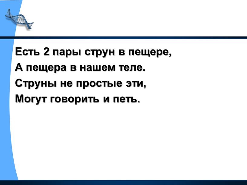 Есть 2 пары струн в пещере, А пещера в нашем теле