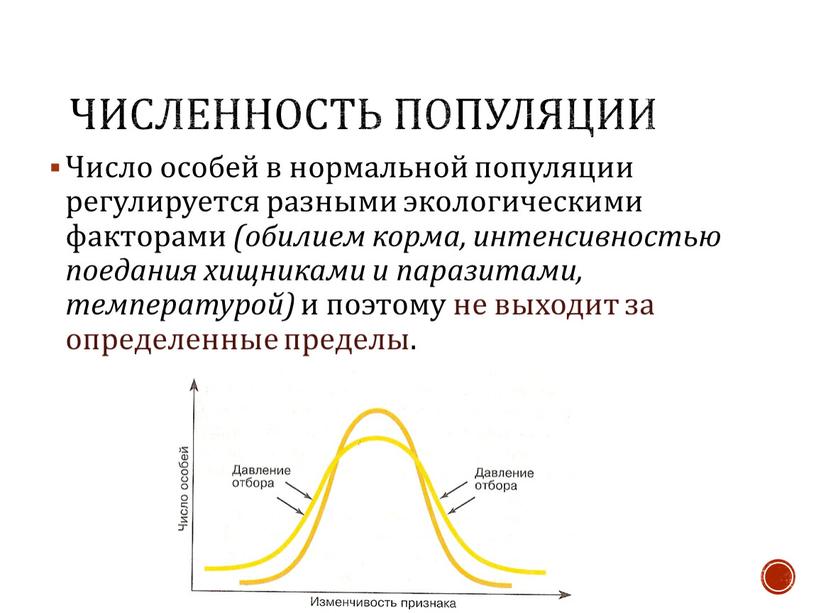 Численность популяции Число особей в нормальной популяции регулируется разными экологическими факторами (обилием корма, интенсивностью поедания хищниками и паразитами, температурой) и поэтому не выходит за определенные…