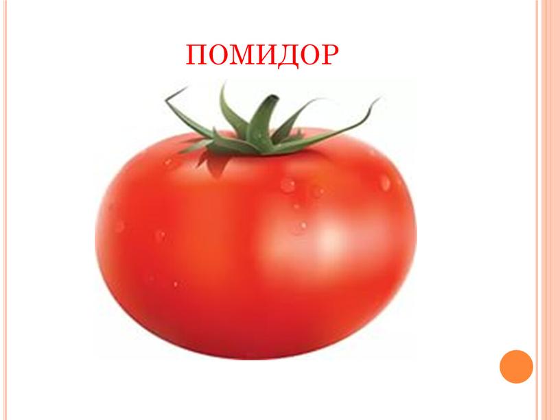 помидор