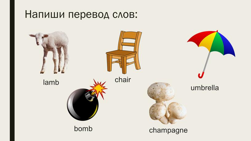 Напиши перевод слов: umbrella lamb bomb chair champagne
