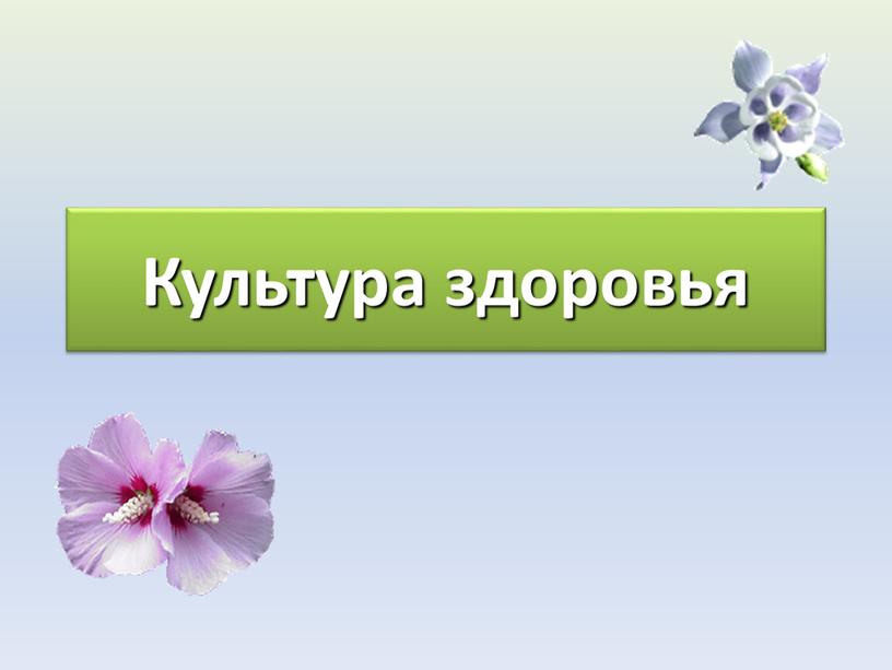 Культура здоровья