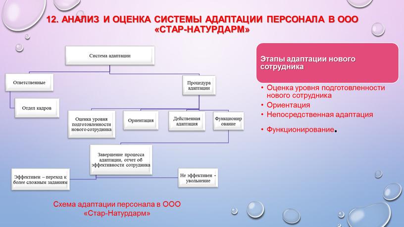 Анализ и оценка системы адаптации персонала в