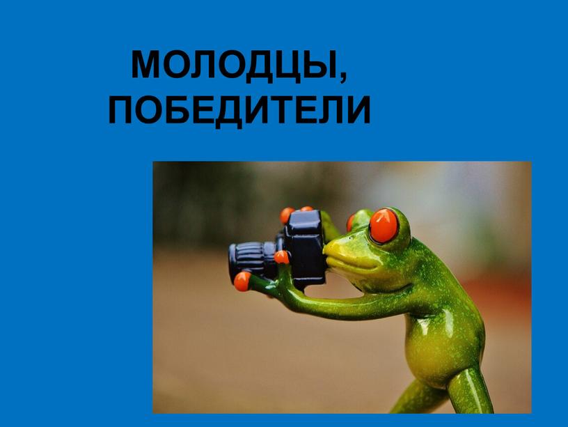 МОЛОДЦЫ, ПОБЕДИТЕЛИ