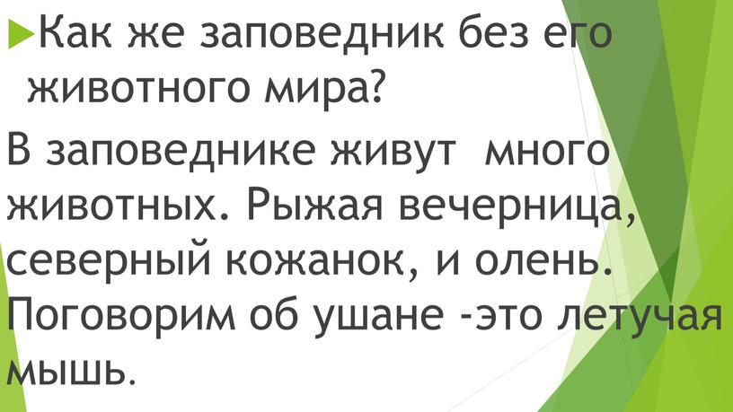 Как же заповедник без его животного мира?