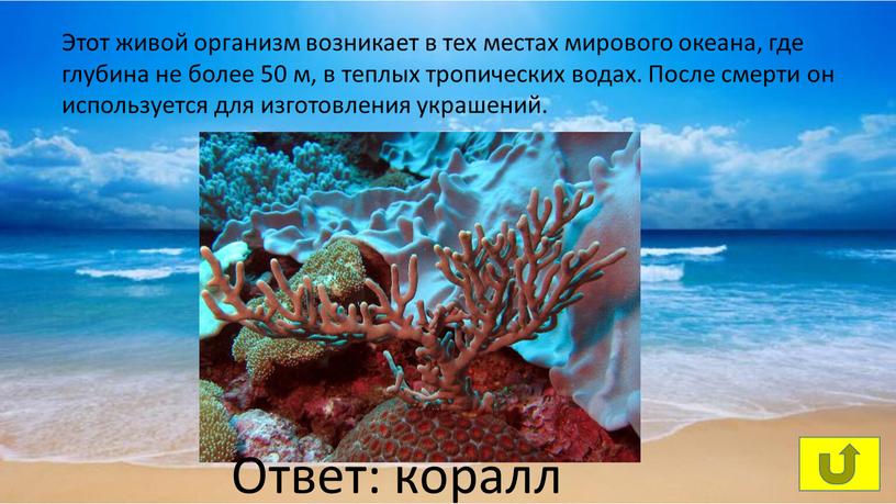 Этот живой организм возникает в тех местах мирового океана, где глубина не более 50 м, в теплых тропических водах