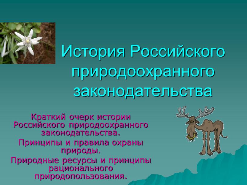 История Российского природоохранного законодательства