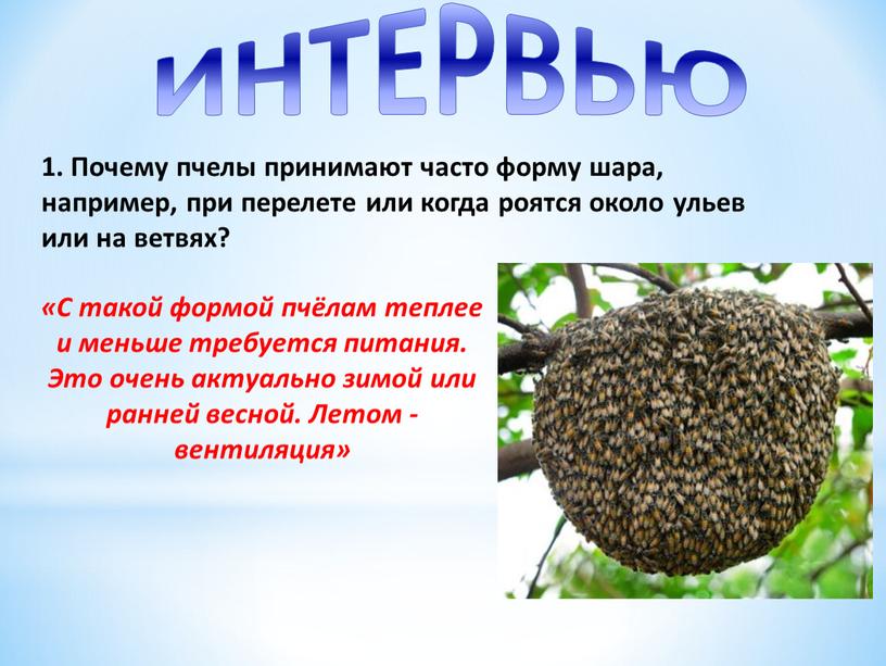 Почему пчелы принимают часто форму шара, например, при перелете или когда роятся около ульев или на ветвях?
