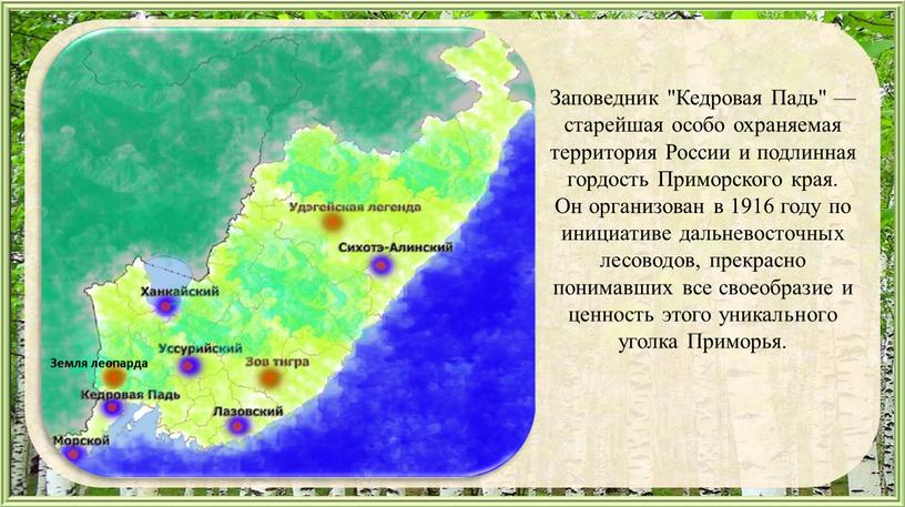 Заповедник "Кедровая Падь" — старейшая особо охраняемая территория