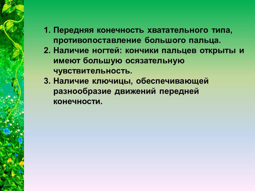 Передняя конечность хватательного типа, противопоставление большого пальца