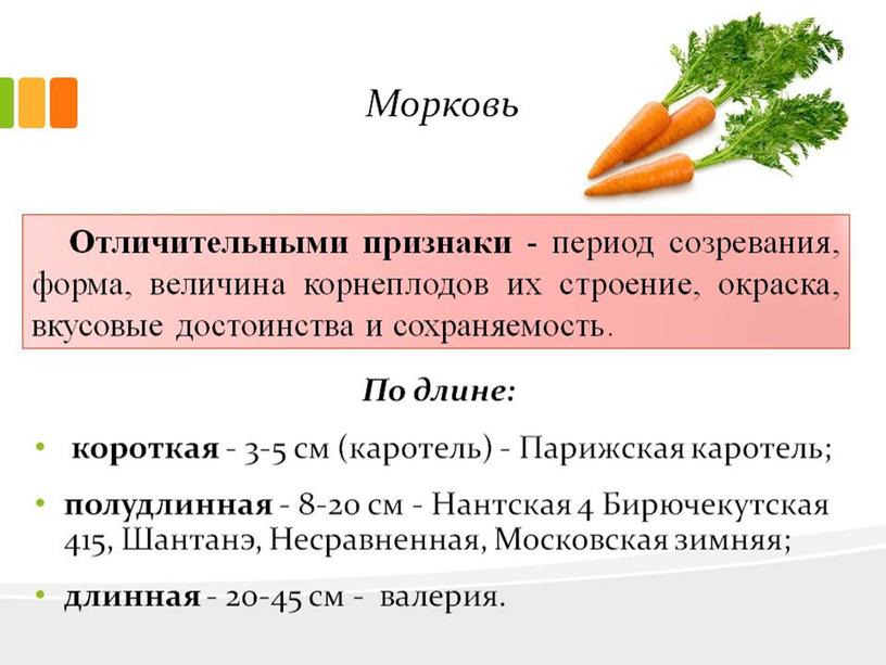Презентация на тему "Характеристика овощей и плодов"