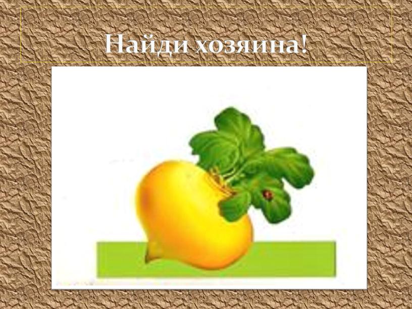 Найди хозяина!