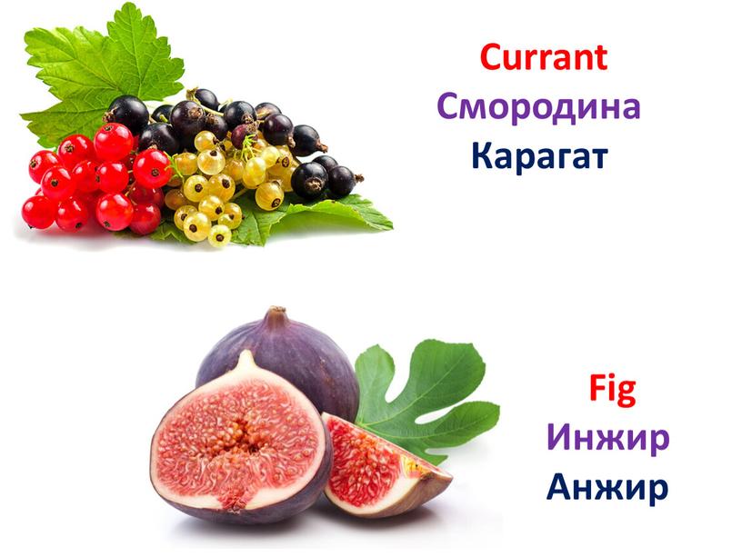 Fig Инжир Анжир Currant Смородина