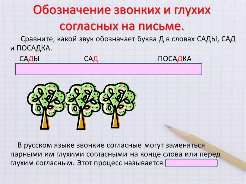 Обозначение звонких и глухих согласных на письме