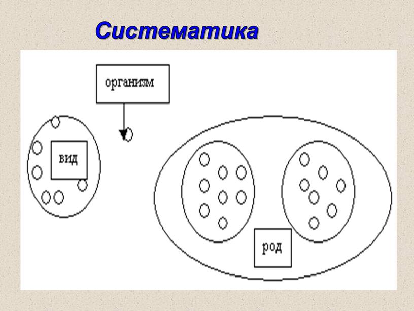 Систематика растений